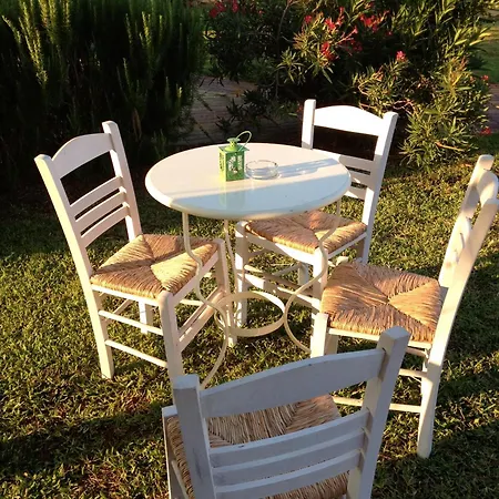 Lägenhetshotell Dendrolivano Minia