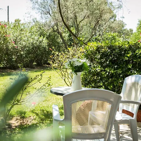Dendrolivano 3* Minia