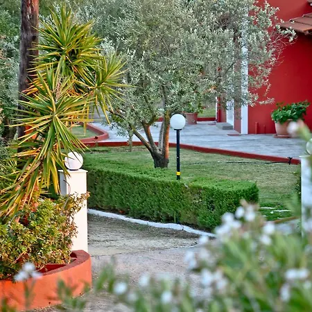 Dendrolivano Lägenhetshotell Minia