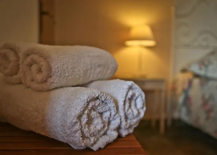 Dendrolivano 4* Minia