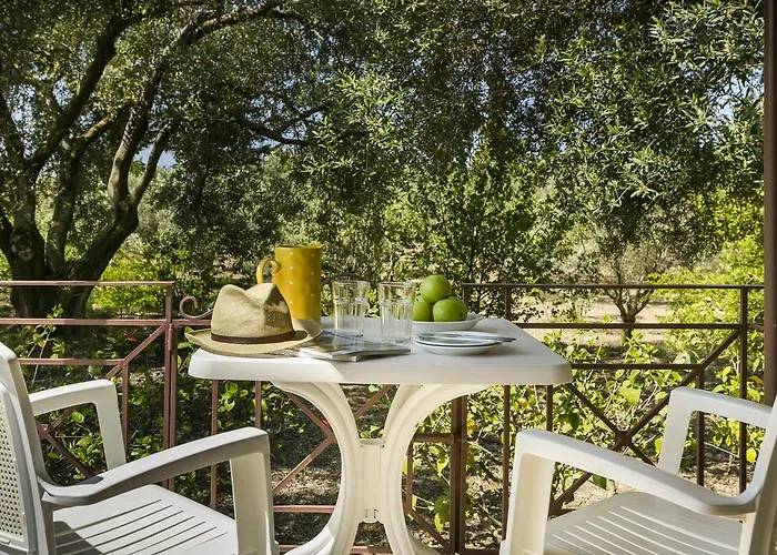 Dendrolivano 3* Minia