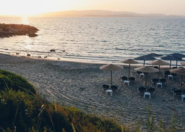 Dendrolivano Aparthotel Minia