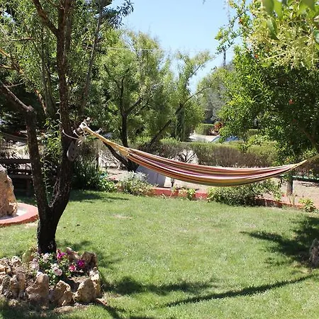 δενδρολίβανο 4*