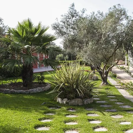 δενδρολίβανο