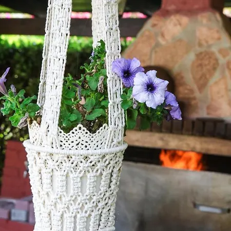 δενδρολίβανο Μηνιά