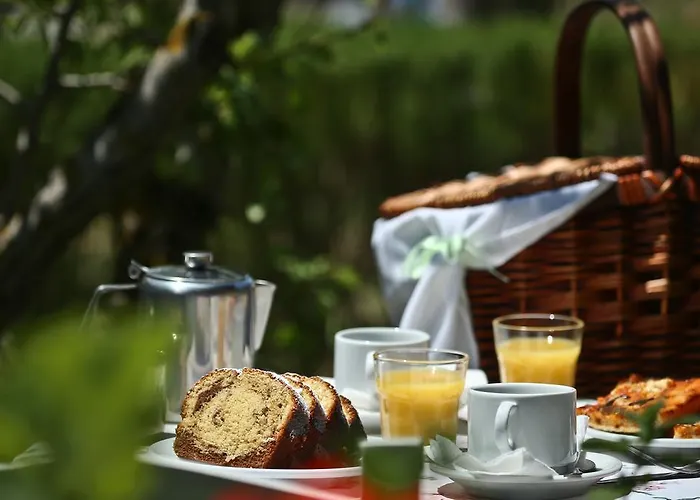 Aparthotel Dendrolivano Minia