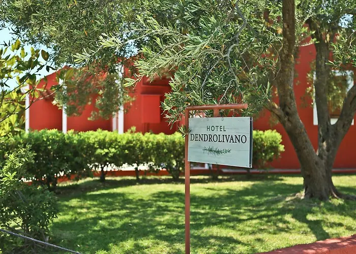 Dendrolivano 4* Minia