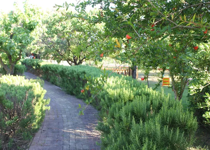 Dendrolivano Aparthotel Minia