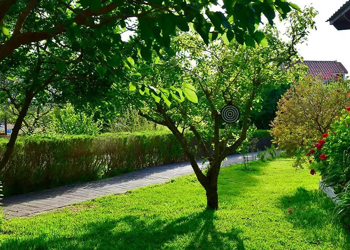 Aparthotel Dendrolivano