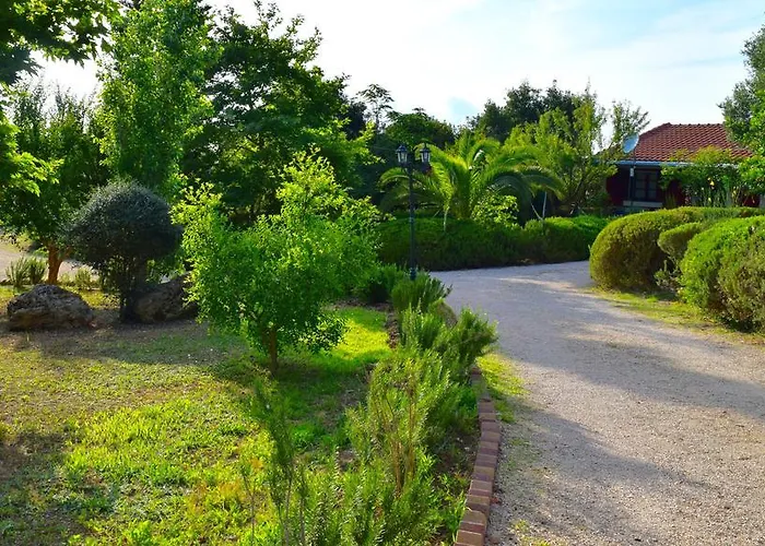 Aparthotel Dendrolivano Minia