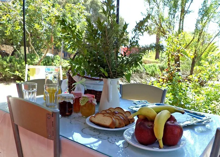 Dendrolivano Aparthotel Minia