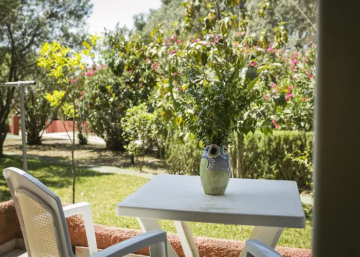 Aparthotel Dendrolivano