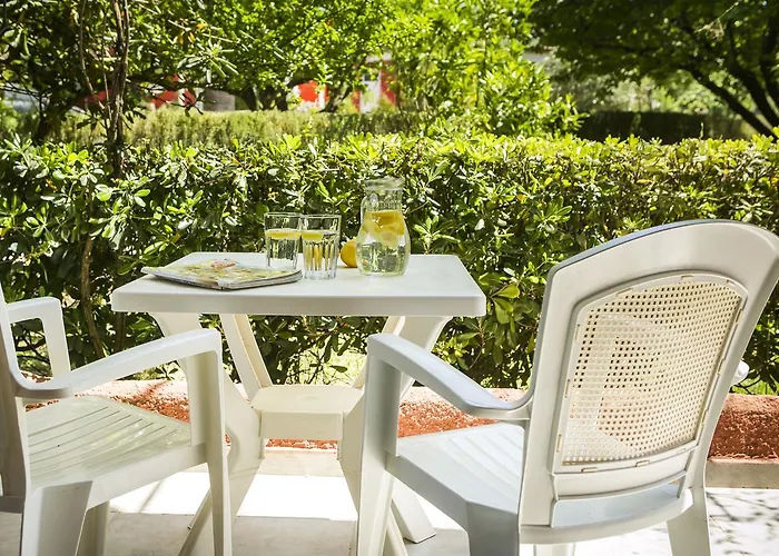 Aparthotel Dendrolivano Minia