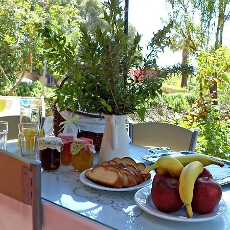 Dendrolivano Apartahotel Minia