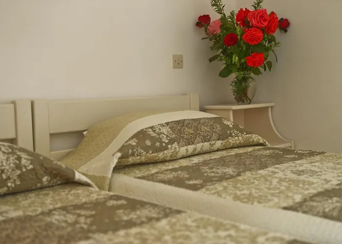 Dendrolivano 4* Minia